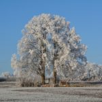 "Winterimpressionen" - Udo Güttner