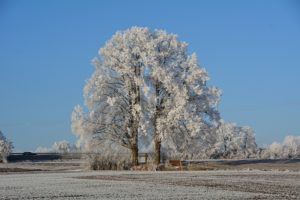 "Winterimpressionen" - Udo Güttner