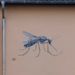 "Die Rüwwenacher Möck" Aachener Straße - Foto Herbert Hennes