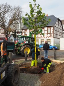 Feuerwehrfest @ Brunnenplatz