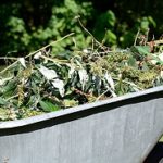 logo_gruenschnitt_350