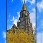 „Forsythienblühte unterm Kirchturm“ – Foto Heinz Köhmstedt