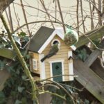 „Wohnungssuche“ in der Keltenstraße –  Foto Willi Thone