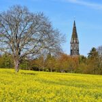 „Rapsblüte als Farbtupfer um St. Mauritius“ – Foto Heinz Köhmstedt