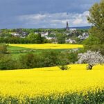 rapsodie_170521_beitragsbild