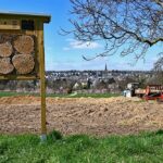 landwirtschaft2021_07