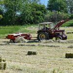 landwirtschaft2021_08