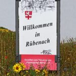 sonnenblumen01_2021