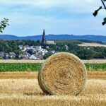 abgeerntet_030921_beitragsbild