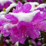 wintereinbruch01_020422