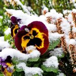 wintereinbruch02_020422