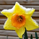 wintereinbruch03_020422