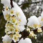 wintereinbruch05_020422