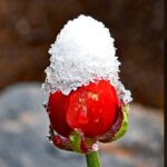 wintereinbruch06_020422