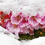 wintereinbruch09_020422