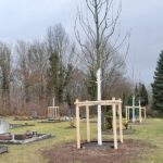 friedhof02_221223