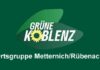„Akrobaten der Lüfte“