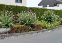 „Mein Rübenach“