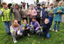 Erste Ernte in den neuen Hochbeeten